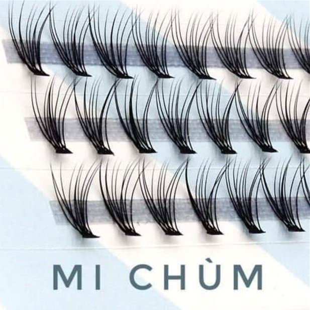 lông mi chùm bán sỉ eyelashes-vn