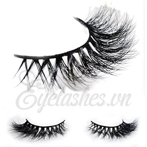 Lông Mi Chồn - Eyelashes.vn