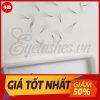 Mi Fan Sẵn 4D Bán Buôn,Sỉ